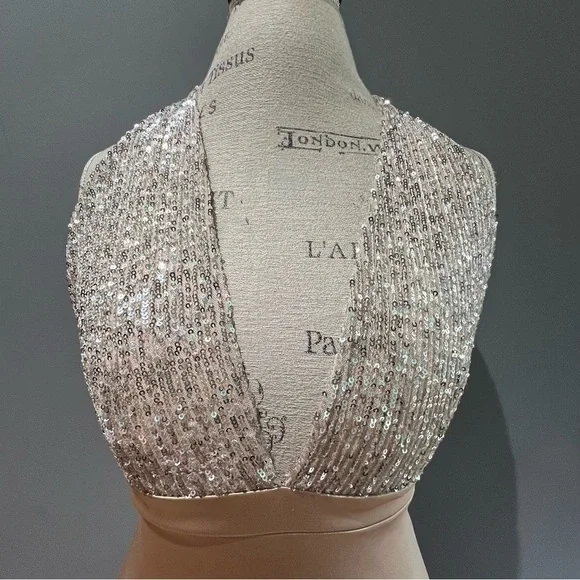 NWT Windsor Champagne Sequin Bodycon Dress Plunge Neckline Sleeveless Size M - Picture 3 of 9